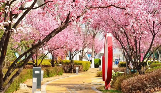 駛向春光里！城發(fā)集團(tuán)奏響“爭(zhēng)春奮進(jìn)曲”